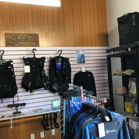 3 a group of items on a shelf