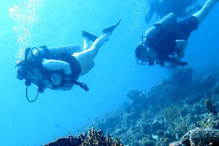 a group of people swimming in the water