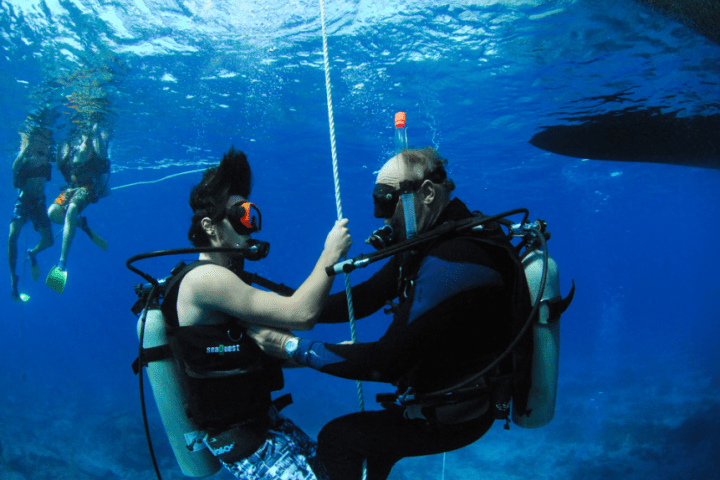 a person swimming in the water